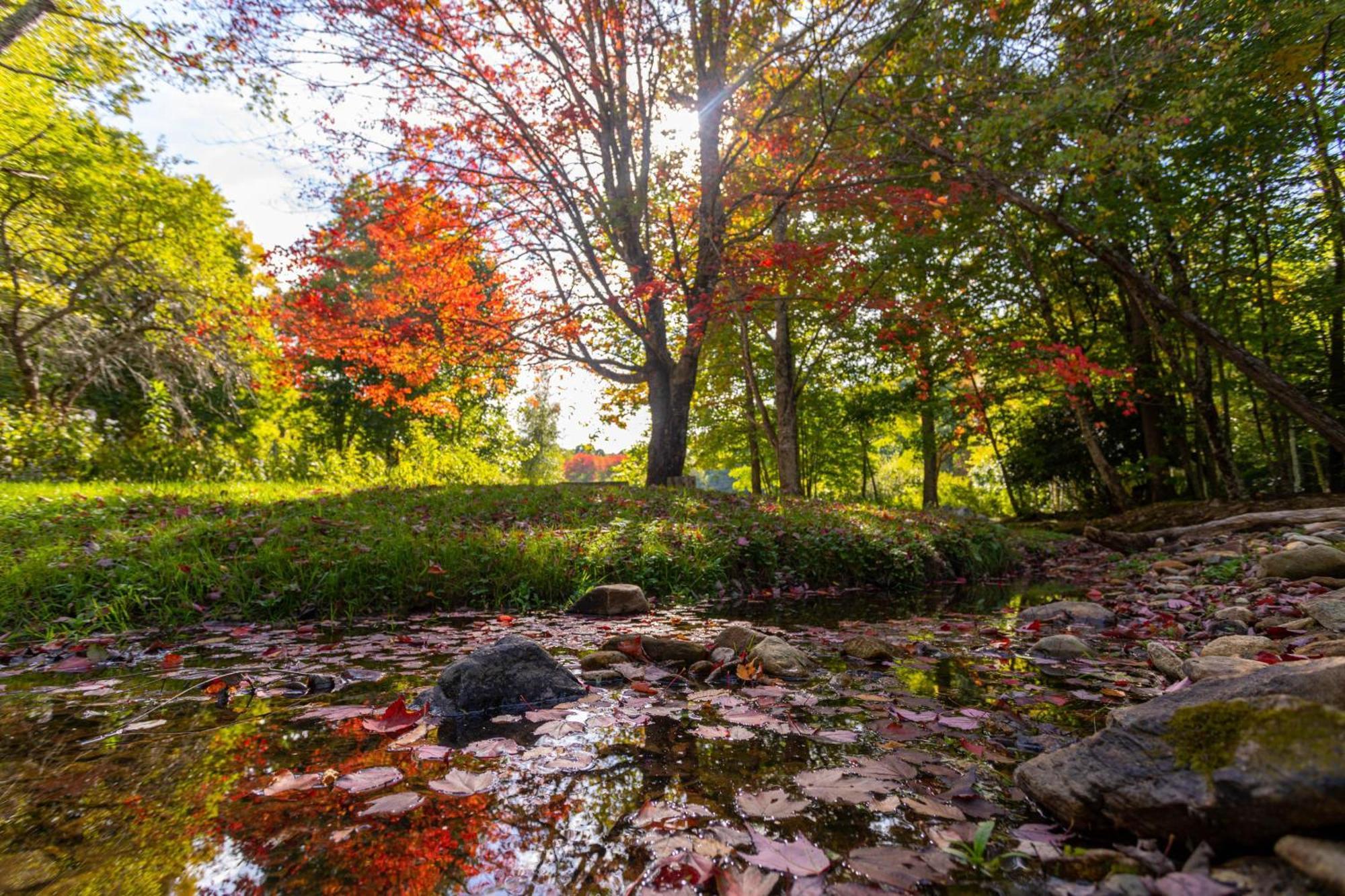 Вілла Matney Ridge Estate Баннер-Елк Екстер'єр фото