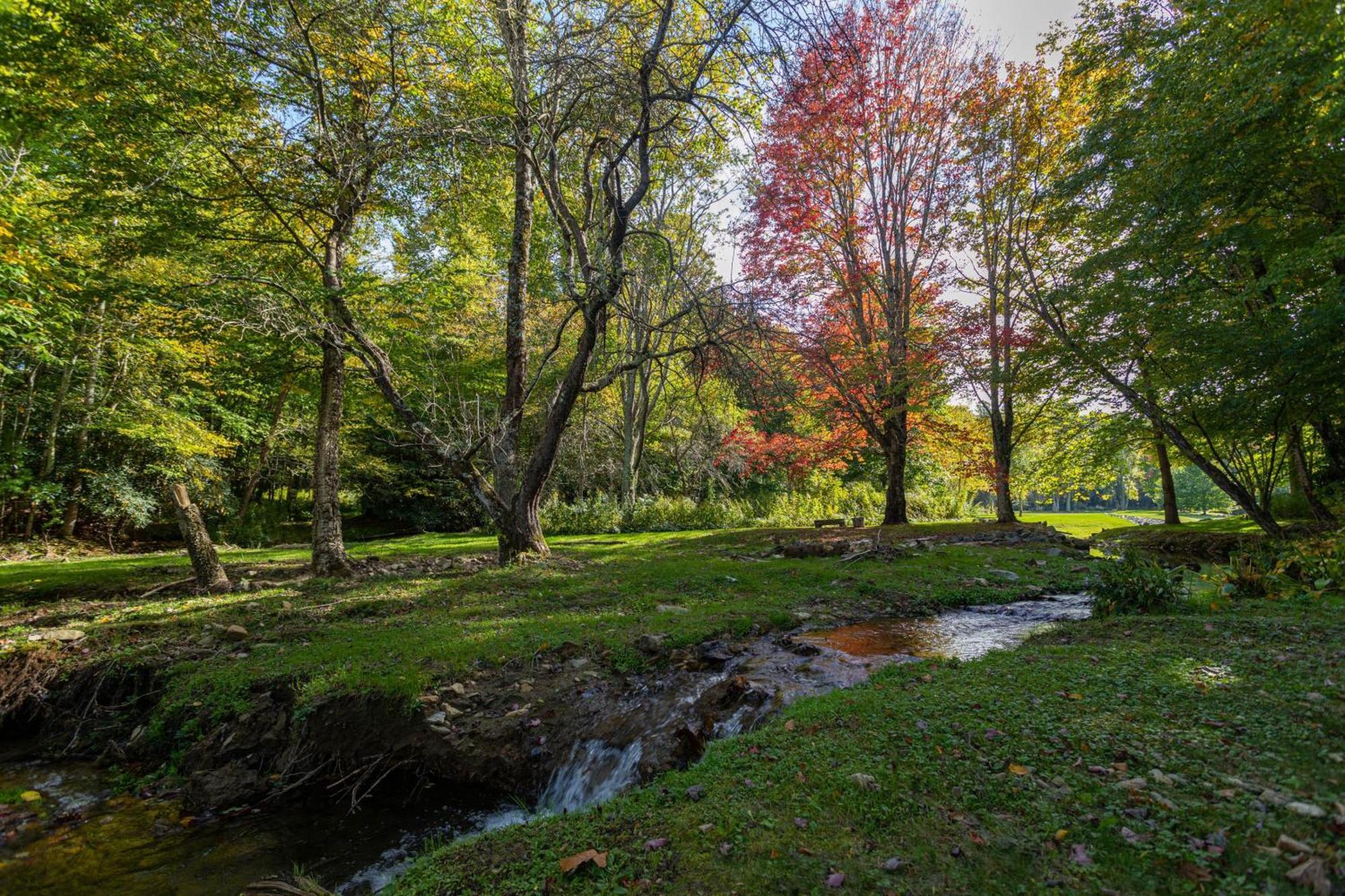 Вілла Matney Ridge Estate Баннер-Елк Екстер'єр фото