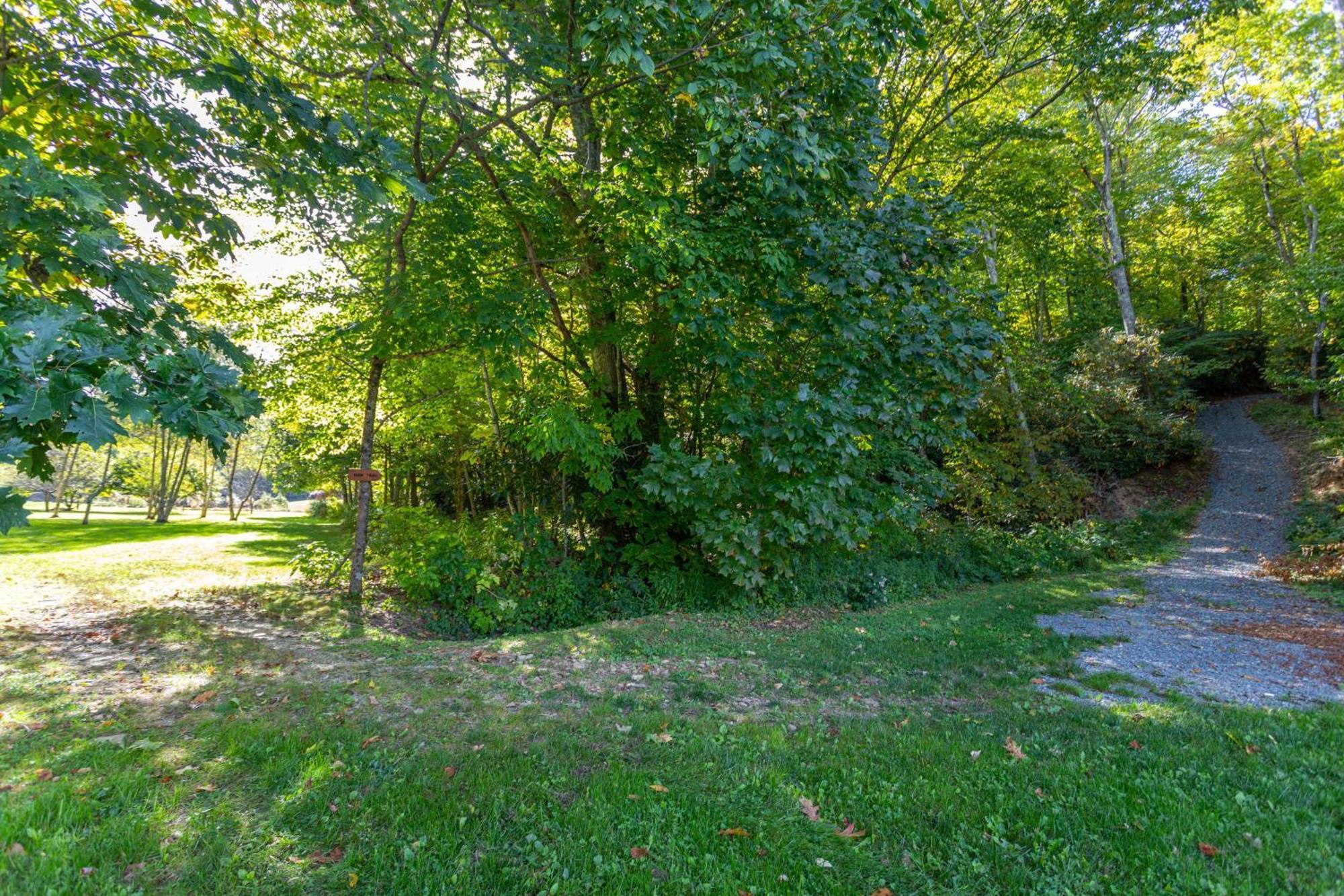 Вілла Matney Ridge Estate Баннер-Елк Екстер'єр фото